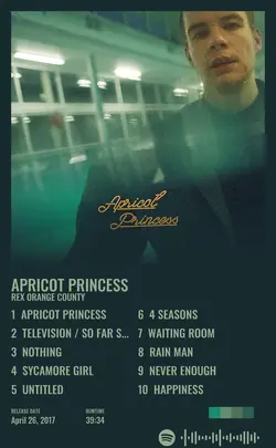 Rex Orange County - Apricot Princess.jpg